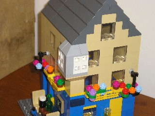 Tigh Neachtain, Quay Street Pub Martin Window and hanging baskets