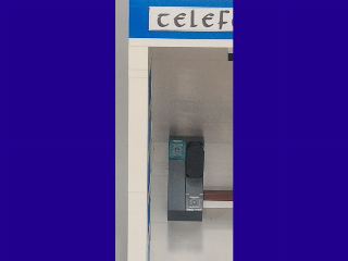 Large Image 12